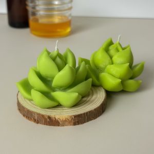 NẾN XƯƠNG RỒNG ĐƠN