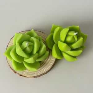 NẾN XƯƠNG RỒNG ĐÔI