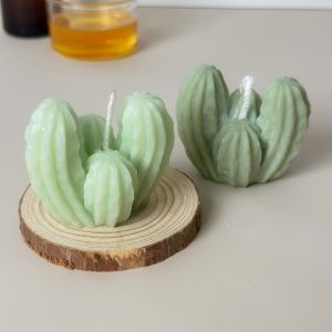 NẾN XƯƠNG RỒNG MINI